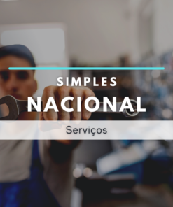 Simples Nacional (Sem funcionários)